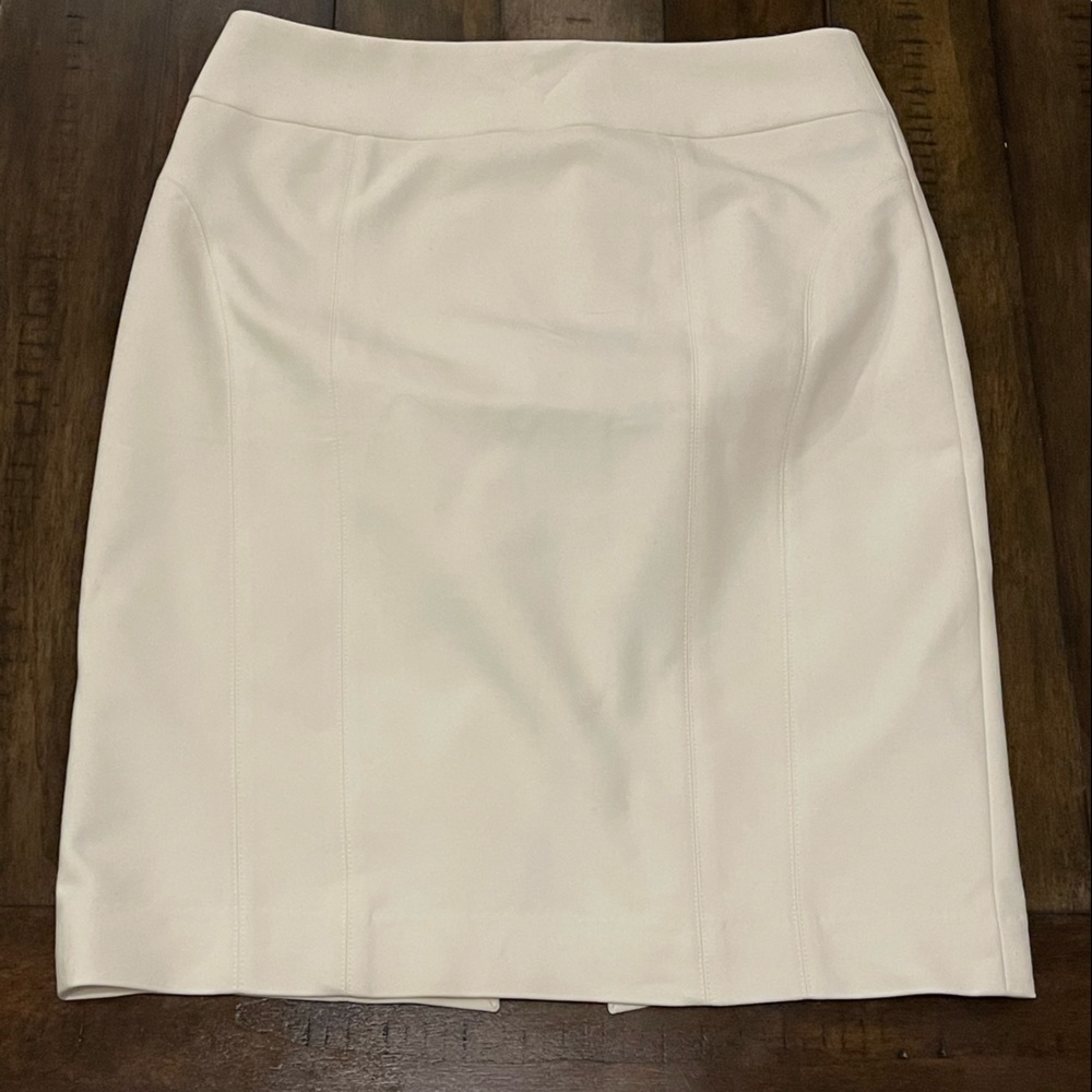 Express Pencil Skirt